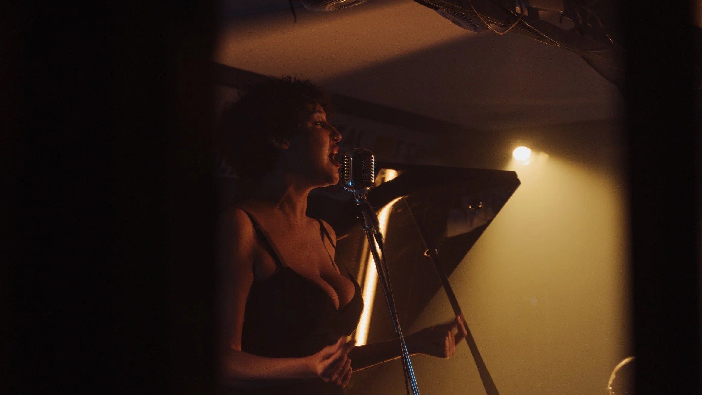 Vocals